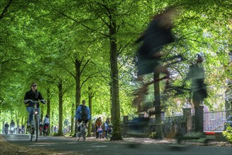 Promenade cycle path, tree-lined, car-free, approximately 4.5 km long ring road around the city