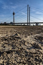 Rhine near Düsseldorf, extremely low water, Rhine level at 81 cm, falling, after a long drought the