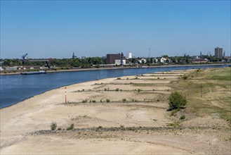 Rhine near Duisburg, extremely low water, Rhine level at 168 cm, falling, after the long drought