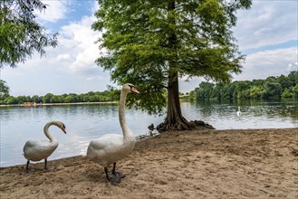 The Sechs-Seen-Platte, a local recreation area in the south of Duisburg, near the Wedau district, 6