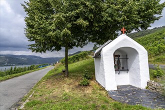 Upper Middle Rhine Valley, wayside chapel in the Kapellenberg vineyard near Lorch, Hesse, Germany,