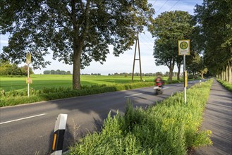 Public transport stop on land, Lower Rhine, Elendshof near Kalkar-Grieth, Rheinuferstraße, 2