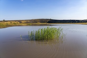 The Haniel spoil tip, 185 metre high spoil tip at the Prosper Haniel mine, which was closed in