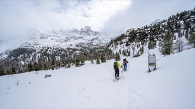 Two ski tourers ascending to the Zufallhütte, snow-covered mountain landscape, Martelltal Valley,