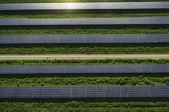 Top down aerial view of a photovoltaic plant arranged in symmetric rows, AI generated