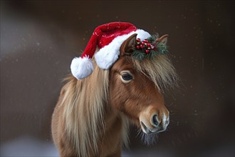 Cute small pony with red Santa Christmas hat. Generative Ai, AI generated