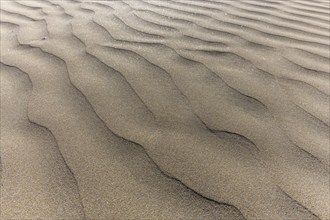 Fine sand moulded by the wind on a beach. Crozon, Finistere, Brittany, France, Europe