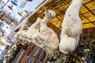 Dried llama fetuses, The Witches Market, La Paz, Bolivia, South America