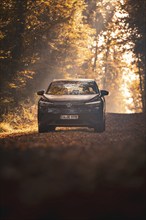 Car on an autumnal forest path, surrounded by golden leaves and bright sunlight, electric car VW