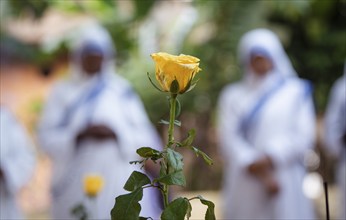 Nuns offer prayers on the grave during the All souls day observation, in Guwahati, India on 2