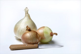 Various onions on wooden board with knife, onion, Allium cepa