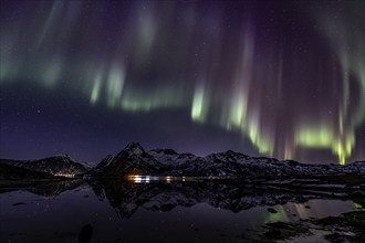 Northern lights over fjord, steep mountains, winter, aurora borealis, Flakstadoya, Lofoten, Norway,