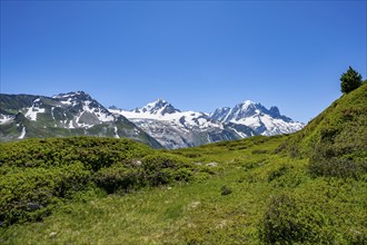 Mountain panorama with glaciated mountain peaks, Aiguille Verte and Glacier du Tour, hike to