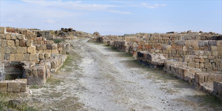 Bazaar street, Ani Archaeological site, Kars, Turkey, Asia