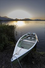 Rowing boat at sunset, Hopfensee, Hopfen am See, near Füssen, Ostallgäu, Allgäu, Bavaria, Germany,