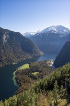 View of the Königssee from the Rinnkendlsteig mountain hiking trail, autumnal forest and