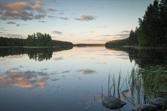 Lake near Hartola, reeds, forest, evening mood, Finland, Europe