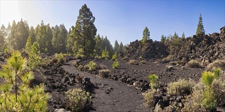 Arena Negras, Teide National Park, Tenerife, Canary Islands, Spain, Europe