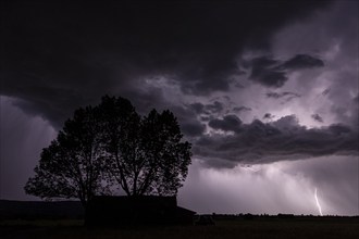 Thunderstorm, lightning, thunderclouds, night shot, tree, hut, spring, Loisach-Lake Kochel-Moor,