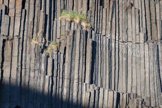 Basalt columns, columnar basalt, Hofsos or Hofsós, Skagafjörður, Norðurland, Iceland, Europe