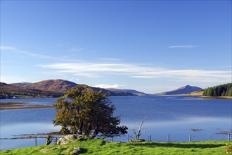 Calm sound with trees and hills in the background under a clear sky, October, Cullins, Hebrides,