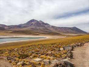 Highland lagoons Atacama Desert, Chile, South America