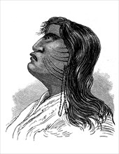 Indians, here a man from the Anti tribe, America, illustration from 1880, historical, digital