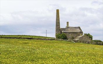 Farms over North Pennines, Cumbria, Durham, Northumberland, North Yorkshire, England, United