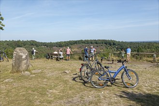 Juniper (Juniperus communis), people, bicycles, viewpoint, Totengrund near Wilsede, Bispingen,