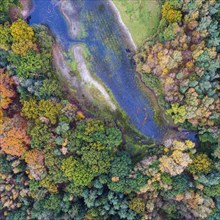 Mixed forest in autumn, colouring, aerial view, forest, autumnal, Ahlhroner Fischteiche,