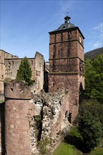 Heidelberg Castle, destroyed in 1689, prison tower in front, gate tower or clock tower on the right