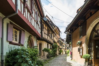 Medieval village and colourful half-timbered houses, Eguisheim, Plus beaux villages de France,