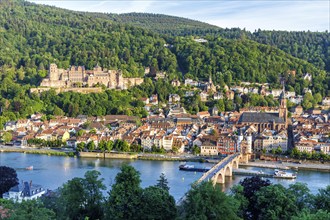 View of the Neckar River Castle and Old Bridge in Heidelberg, Germany, Europe