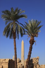 Luxor, Karnak Temple, obelisk in the temple complex in Karnak, Africa, Upper Egypt, UNESCO World