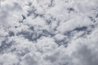 Cumulus white clouds in a blue sky, England, United Kingdom, Europe