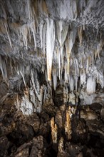 Stalactite cave, Terciopelo Cave, Barra Honda National Park, Costa Rica, Central America