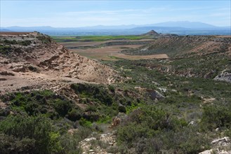 Green valleys and hills with a mountain range in the background under a clear blue sky, Bardenas