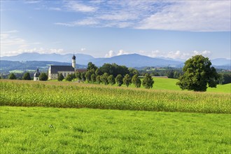 Pilgrimage church of St Marinus and Anian in Wilparting, cornfield, avenue, meadow, municipality of