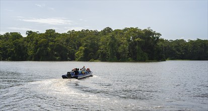 Tourists explore the river in the rainforest by boat, dense vegetation, Tortuguero National Park,