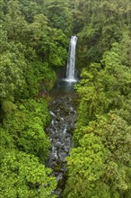 Aerial view, waterfall in the rainforest, Catarata de la Paz, La Paz Waterfall Gardens Nature Park,