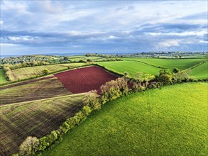 Fields and Farms over Torquay from a drone, Devon, England, United Kingdom, Europe