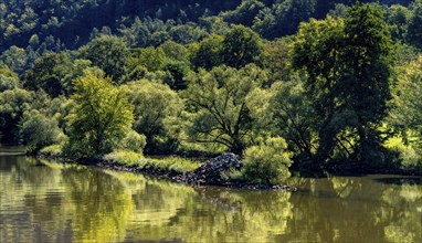 Landscape on the River Main between Miltenberg and Freudenstadt, Lower Franconia, Bavaria, Germany,