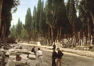 Cypresses and road leading to the cemetery, Skutari, Constantinople, Istanbul, Turkey, View from