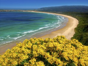 New Zealand, Otago, Tautuku Bay, rocky peninsula, beach, bay, Tautuku Bay, New Zealand, Oceania