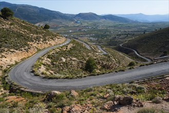 Winding road through a green mountain landscape to Mirador Laujar, Laujar de Andarax, Province of