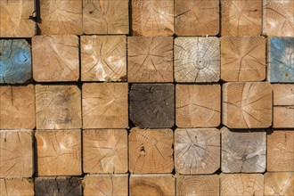 Stacked cut square pieces of lumber, Quebec, Canada, North America