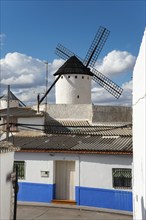 White and blue house and windmill under a sunny sky in a rustic village, Campo de Criptana, Ciudad