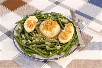 Swabian cuisine, yeast dumplings with green beans, breadcrumbs, served on a plate, typical Swabian,