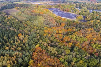 Mixed forest in autumn, colouring, aerial view, forest, autumnal, Ahlhorn fish ponds,