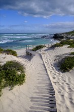 Boardwalk, sand dunes, De Hoop Nature Reserve, Indian Ocean, nature reserve near Struisbaai, Garden